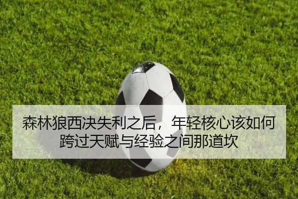 森林狼西决失利之后，年轻核心该如何跨过天赋与经验之间那道坎